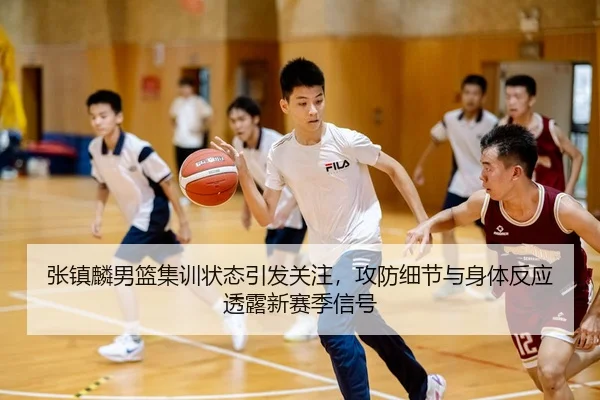 img_1780377139487_676_2_172.jpg